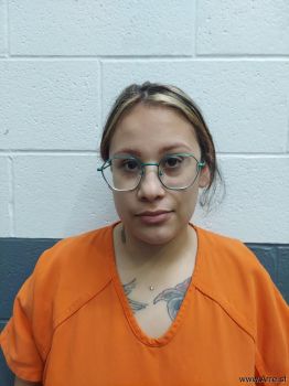 Erika Denise Cavasos Mugshot