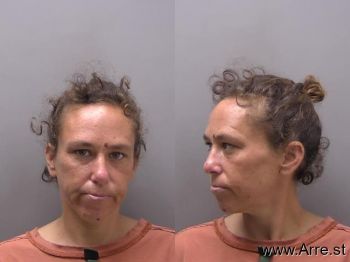 Erica Lynn Reed Mugshot