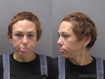 Erica Lynn Reed Mugshot