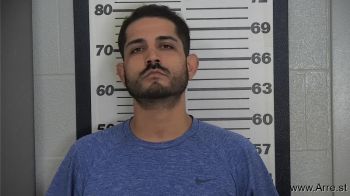 Fernando Ivan Ramirez-gonzalez Mugshot