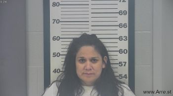 Gina Lynn Wilson Mugshot