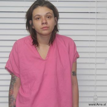 Heather Marie Davis Mugshot