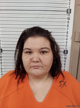 Heather Joann Harris Mugshot