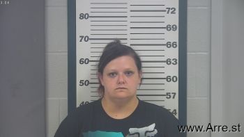 Heather N Smith Mugshot