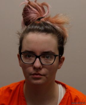 Heather Nicole Young Mugshot