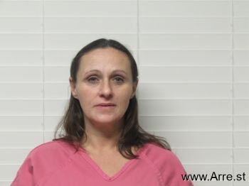 Heidi Ann Johnson Mugshot