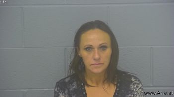 Heidi Ann Johnson Mugshot