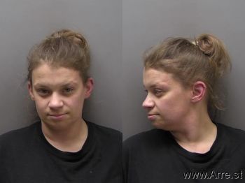 Heather Renee Laws Mugshot