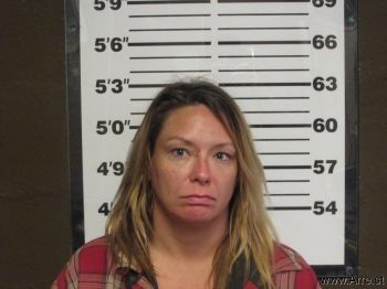 Heather Nichole Snyder Mugshot