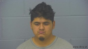 Jaime Ernesto Flores-hernandez Mugshot