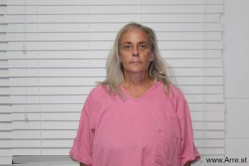 Julie Dawn Hopkins Mugshot