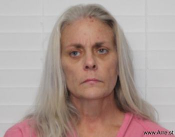 Julie Dawn Hopkins Mugshot