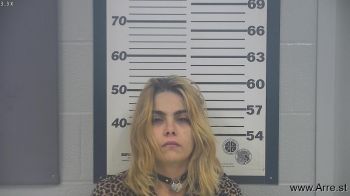 Karen Elda Wilson Mugshot