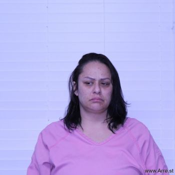 Kari Marie Lewis Mugshot