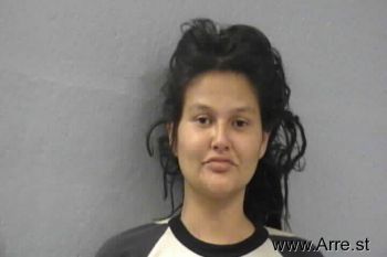 Katie Lynne Zehner Mugshot