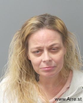 Kimberly Ann Schmidt Mugshot