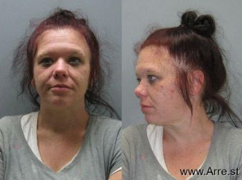 Kristin Marie Anderson Mugshot