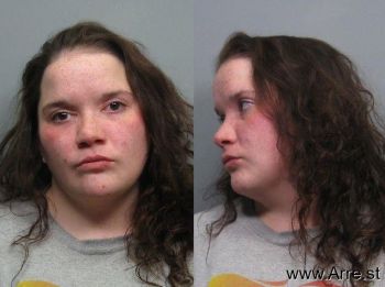 Kristin Lee Howard Mugshot