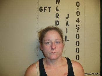 Lisa Marie Smith Mugshot