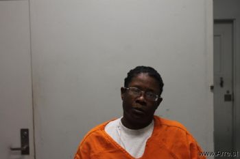 Loutinia Lee Owens Mugshot