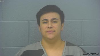 Luis Alberto Ochoa-nieblas Mugshot