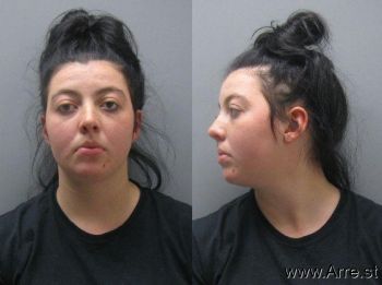 Lauren Elizabeth Wilson Mugshot