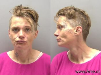 Leslie Ann Weyer Mugshot