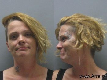 Leslie Ann Weyer Mugshot