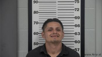 Mark Anthony Lee Mugshot