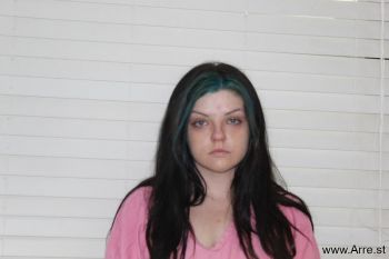 Mary Elizabeth Johnson Mugshot