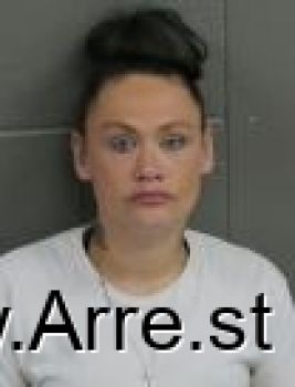 Megan Nicole Howard Mugshot