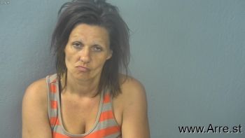 Mindy Dawn Johnson Mugshot