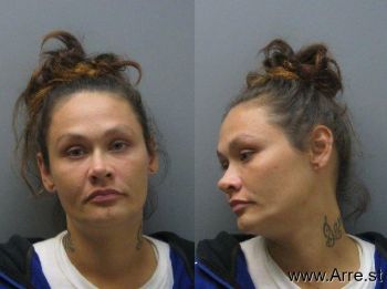 Megan Nicole Howard Mugshot