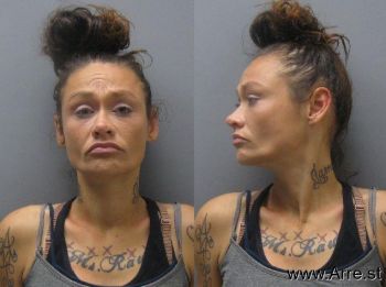 Megan Nicole Howard Mugshot