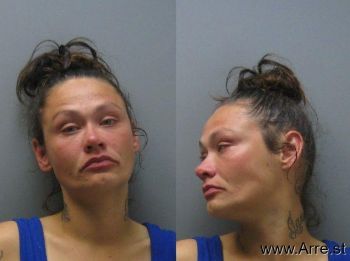 Megan Nicole Howard Mugshot