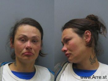 Megan Nicole Howard Mugshot