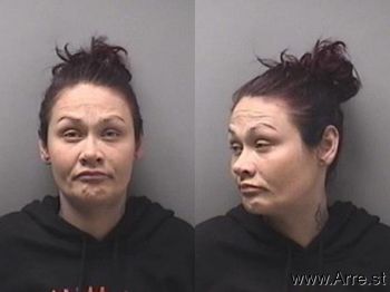 Megan Nicole Howard Mugshot