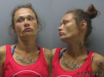 Megan Nicole Howard Mugshot