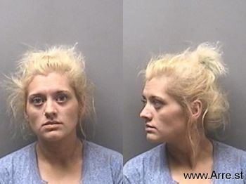 Megan Renee Mayse Mugshot