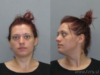 Megan Renee Mayse Mugshot