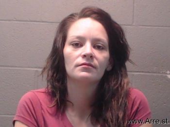 Megan L Ritchie Mugshot