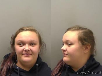 Megan Joyce Tolson Mugshot