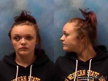 Megan Joyce Tolson Mugshot