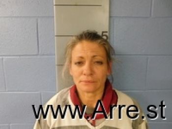 Melissa Sue Fields Mugshot