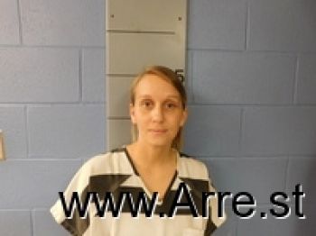 Melissa Ann Williams Mugshot