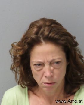 Michelle Lynn Dane Mugshot