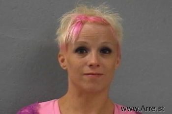 Nichole Lee Collins Mugshot