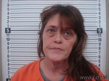 Patricia Ann Anderson Mugshot