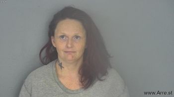 Paula Jane Blevins Mugshot