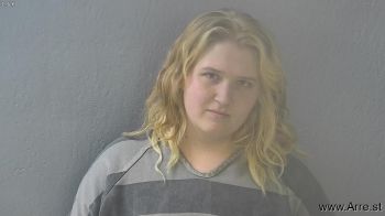 Renae Ann Wilson Mugshot